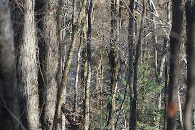 0, Hodges, AL 35571 - photo 6