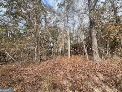 PARCEL A Wiggum Rd & St James Rd, Cochran, GA 31014 - photo 7