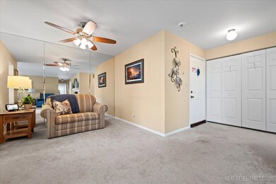 2105 Lancaster Cir unit 101A, Naperville, IL 60565 - photo 6