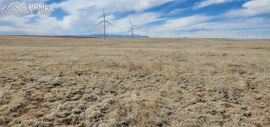 8335 S Calhan Hwy, Calhan, CO 80808 - photo 3