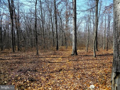 0 John Brown Farm Rd unit 1000219429, Harpers Ferry, WV 25425 - photo 6