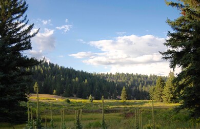 Area Photo