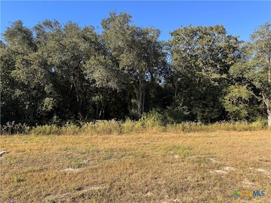 0000 Savannah Ranch Rd, Inez, TX 77968 - photo 2