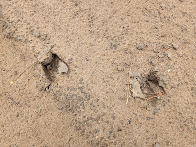 Parcel A W 16th St, Baldwin, MI 49304 - photo 3