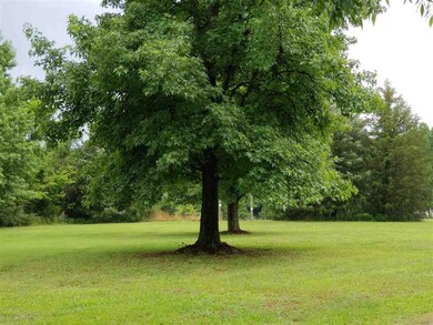 67 Country Routt Brown Rd, Pittsboro, NC 27312 - photo 6