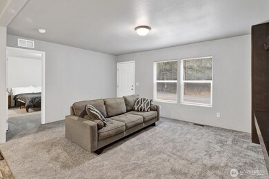 467 Cain Lake Rd, Sedro Woolley, WA 98284 - photo 6