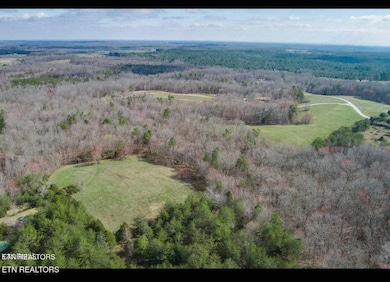 297 Hitchin Post Dr, Jamestown, TN 38556 - photo 6