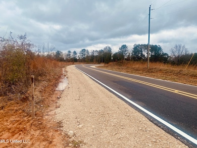 0 Saint Anne Rd, Carthage, MS 39051 - photo 6