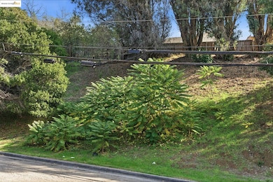 9670 Mountain Blvd, Oakland, CA 94605 - photo 3