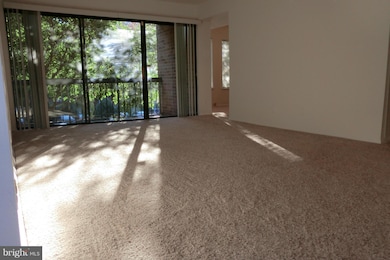 11419 Commonwealth Dr unit 101, Rockville, MD 20852 - photo 6