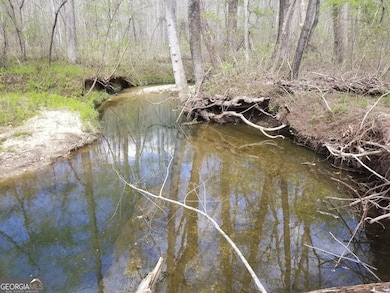 0 Susie Pope Rd unit 10499156, Buchanan, GA 30113 - photo 2