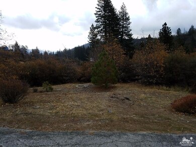 0 Fir Ln unit 216034928, Lake Arrowhead, CA 92321 - photo 3