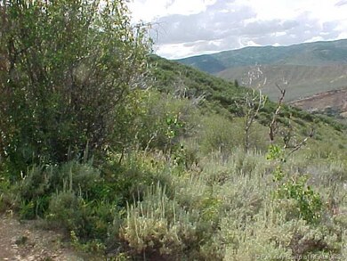 Land/Lot.