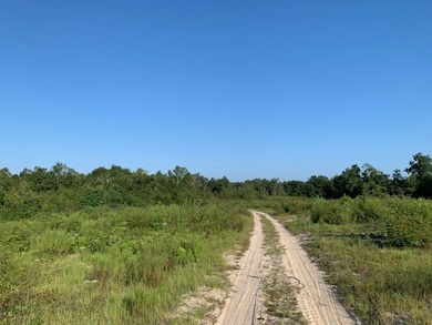 0 S Carpenter Rd, Tifton, GA - photo 3