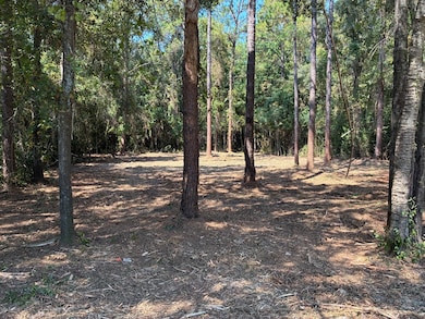 Lot 3 Hampton Way, Dothan, AL 36305 - photo 4