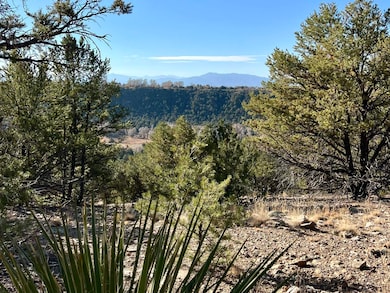 0 Gallina Canyon Rd unit 114366, Valdez, NM 87580 - photo 4