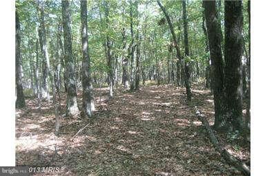 0 Deep Spring Rd unit 1003582428, Dorcas, WV 26847 - photo 4