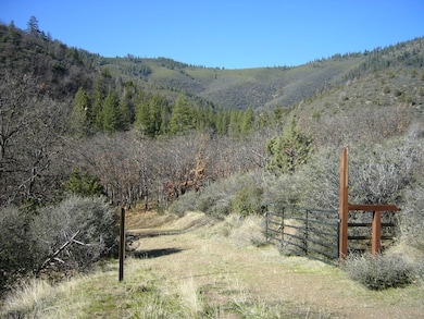 0 20 Acres Scarface Rd, Gazelle, CA 96034 - photo 3