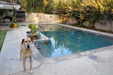 Pebble tec pool included - dog not included!