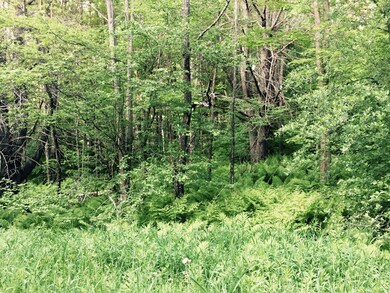 0 Safford Rd unit 4241442, Hartford, VT 05059 - photo 3