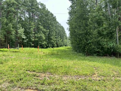 00 Moore Mountain Rd, Pittsboro, NC 27312 - photo 3