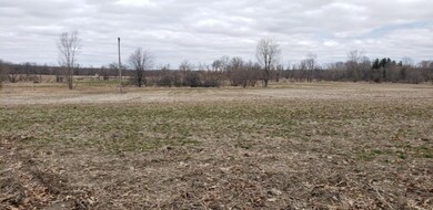 Parcel A Jefferson Rd, Ionia, MI 48846 - photo 4
