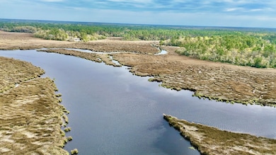 0 U S 17, Waverly, GA 31565 - photo 2