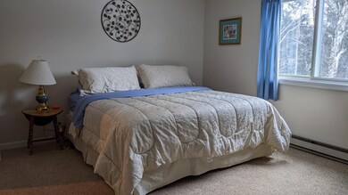 10 Adams Dr unit 18, Woodstock, NH 03262 - photo 7