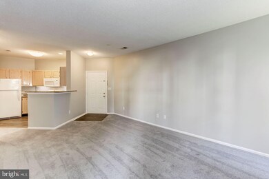 14314 Climbing Rose Way unit 203, Centreville, VA 20121 - photo 6