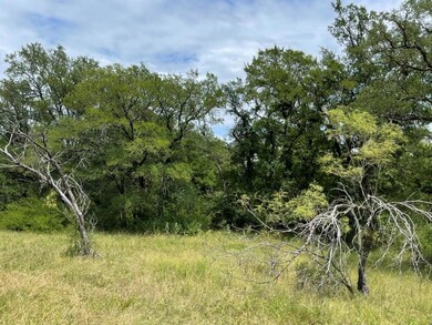 TBD County Road 105, Brownwood, TX 76801 - photo 3