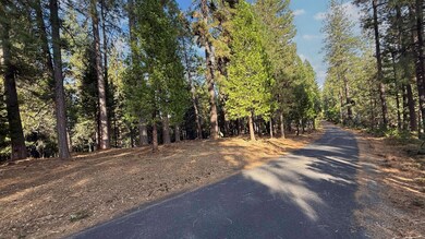 19045 Pine Dr, Pioneer, CA 95666 - photo 3