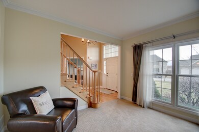 248 Violet Ln, Batavia, IL 60510 - photo 4