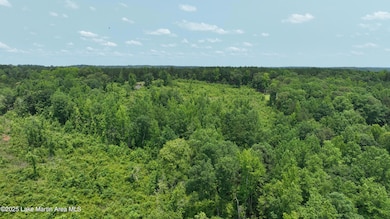 00 Lindsey Rd, Eclectic, AL 36024 - photo 4