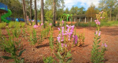 18007 Blu Terrace Dr, Woodloch, TX 77302 - photo 5