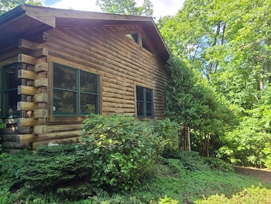 3058 Golden Rd, Lake Toxaway, NC 28747 - photo 3