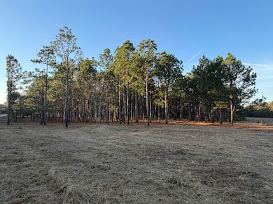 County Road 1156, Troy, AL 36079 - photo 3