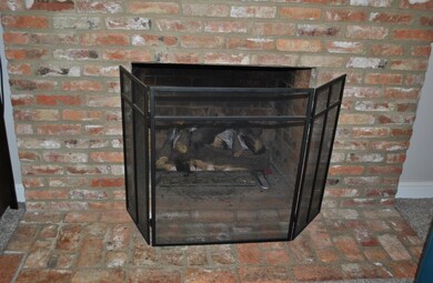 GAS OR WOOD BURNING