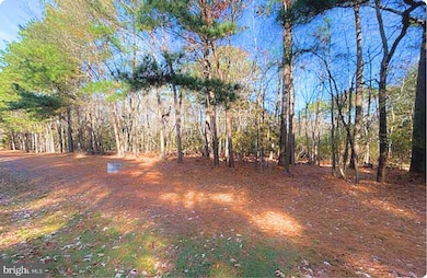 Lot 18 Peaceful Way, Exmore, VA 23350 - photo 4