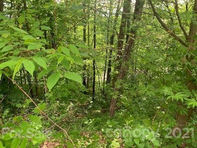 Lot 61 Mountain Air Dr, Price Creek, NC 28714 - photo 3