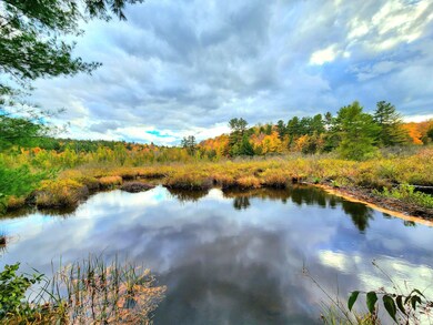 4255 Factory Rd, Natural Bridge, NY 13665 - photo 5