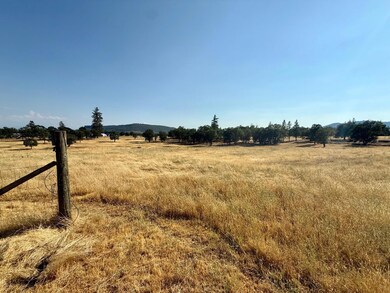 Pasture 1