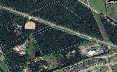 11437 Broad River, Chapin, SC 29036 - photo 3