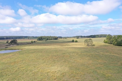 DJI_0362 (1)