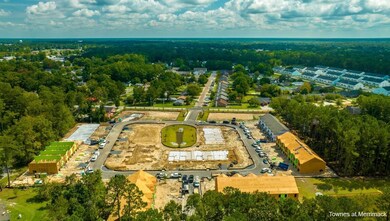 Townes Drone Shots _6