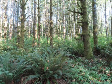 0 State Hwy 4 unit 7, Graysriver, WA 98621 - photo 6