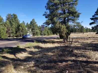 0 Whipple and Central unit 219962, Show Low, AZ 85901 - photo 3