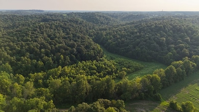 0 Ready Rd unit LotWP001 24349622, Caneyville, KY 42721 - photo 3