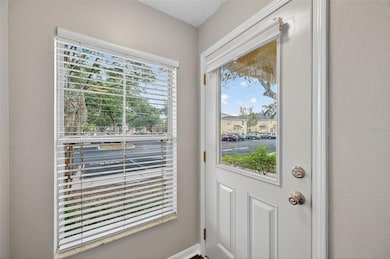 3417 Dragon View Ct, Valrico, FL 33594 - photo 4