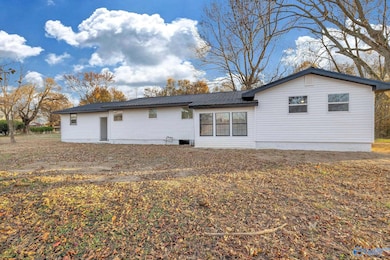 1681 Lena Rd, Horton, AL 35980 - photo 3