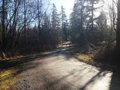 0 Lybecker Ln SE unit 732811, Rainier, WA 98576 - photo 6